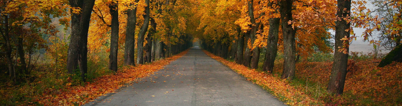 秋意背景图片大全 秋意背景素材下载 熊猫办公