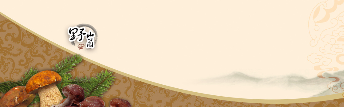 淘宝中国风简约蓝色海报banner背景