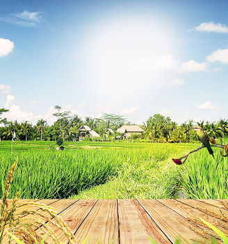 田园茶海报背景背景图片素材免费下载_熊猫办公