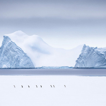 冰山背景图