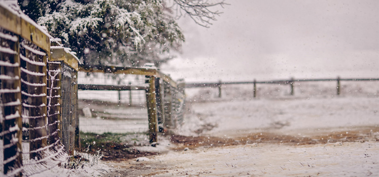 冬背景背景图片素材免费下载 小清新背景 19 850像素 熊猫办公