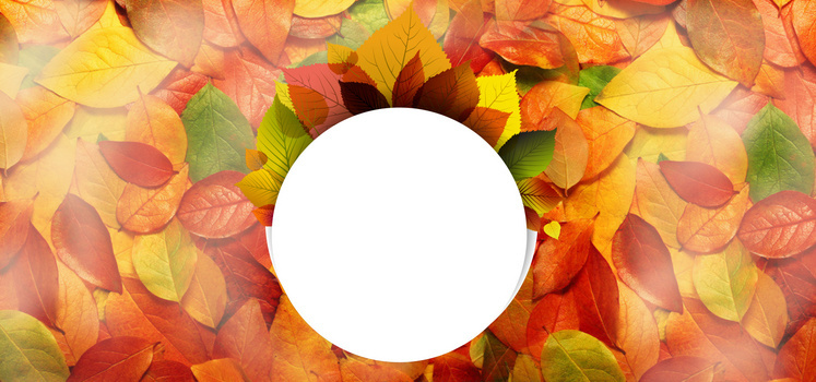 红叶背景图片大全 红叶背景素材下载 熊猫办公