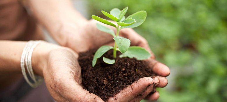 绿色希望背景图片大全 绿色希望背景素材下载 熊猫办公