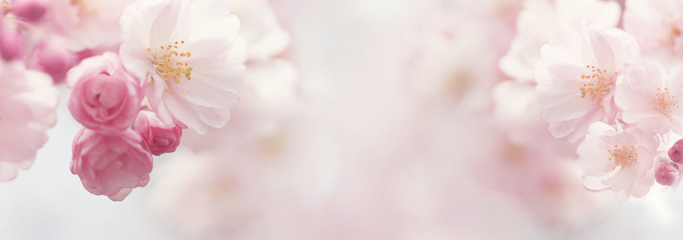 唯美温馨淘宝背景