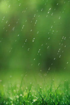 春季雨水传统节气背景