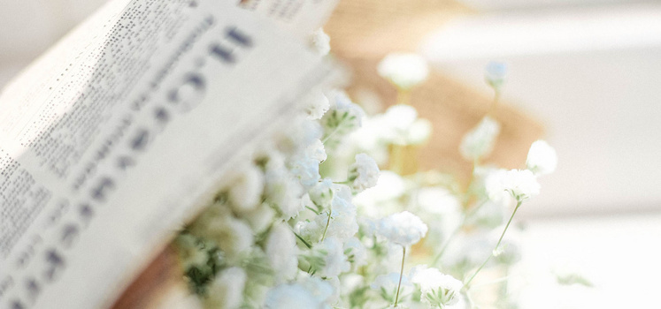 清新花束背景图片大全 清新花束背景素材下载 熊猫办公