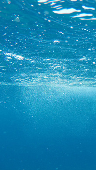 海底世界扁平蓝色banner背景图片素材免费下载_熊猫办公