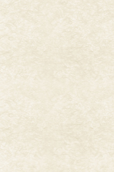 复古文艺浅色花纹中国风背景