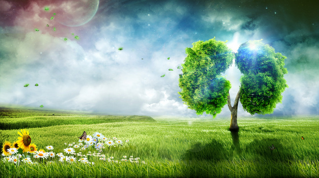 烟草背景图片大全 烟草背景素材下载 熊猫办公