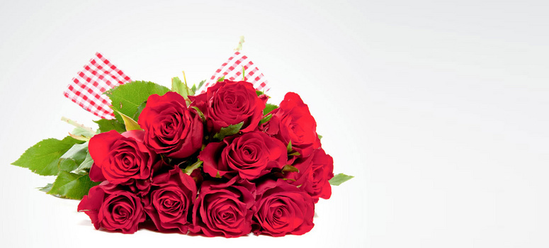 唯美大气简约玫瑰花海报背景