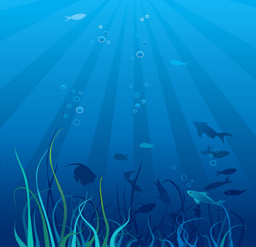 海底世界生物png图片素材下载_海底png_熊猫办公