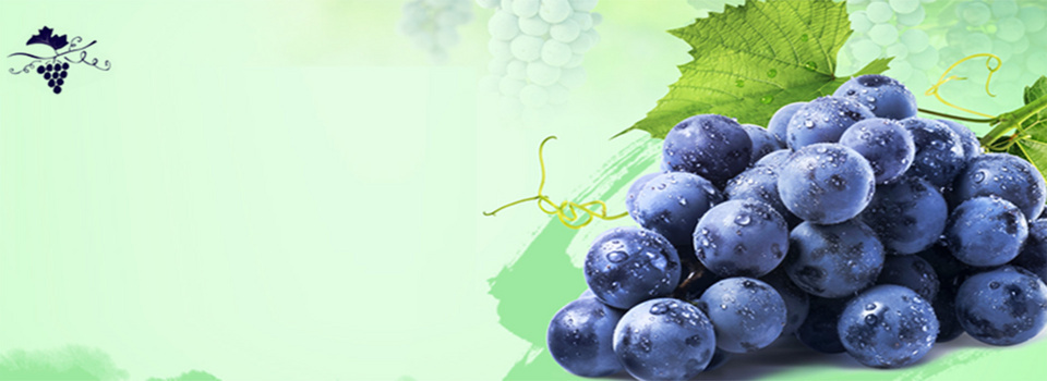 葡萄背景