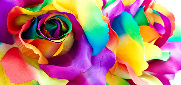 七色花背景图片大全 七色花背景素材下载 熊猫办公