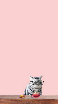 猫咪背景图片大全_猫咪背景素材下载_熊猫办公