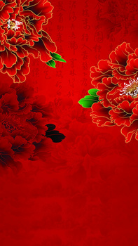中国风富贵牡丹h5背景