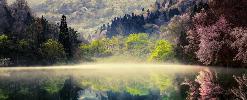 唯美仙境背景