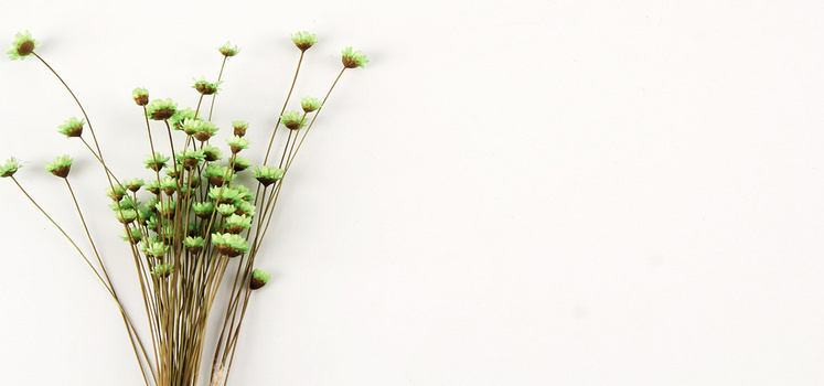 花背景图片大全 花背景素材下载 熊猫办公