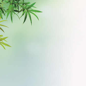 绿色竹叶梦幻渐变主图背景