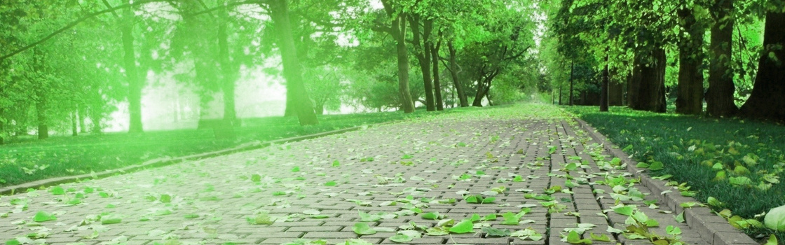 公园小路背景图片大全 公园小路背景素材下载 熊猫办公 公园小路背景图片大全 公园小路背景素材下载 熊猫办公