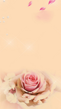 婚纱摄影影集背景