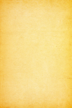 纯色简约黄色树叶背景