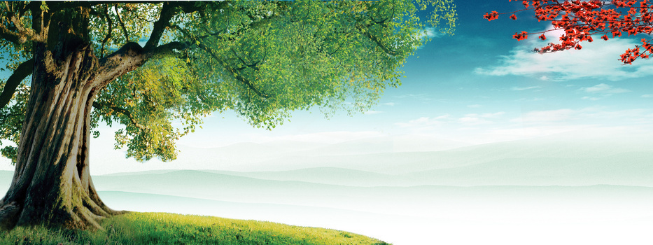 意象蓝天大树背景