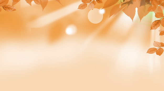 暖橙色枫叶射光背景