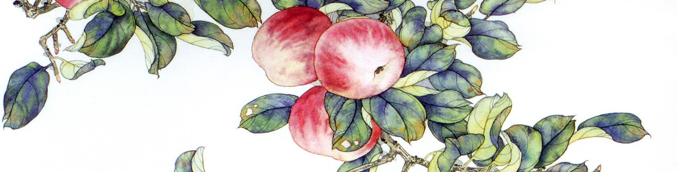 工笔苹果染色画法图片