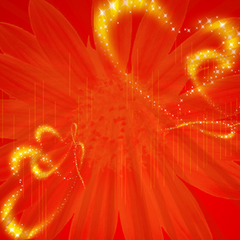 2912 x 1632格式: jpg万紫千红姹紫嫣红背景图jpg像素:1920 x 650格式