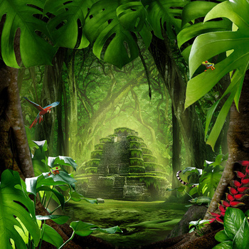 清新绿色森林主图背景图片素材免费下载_熊猫办公