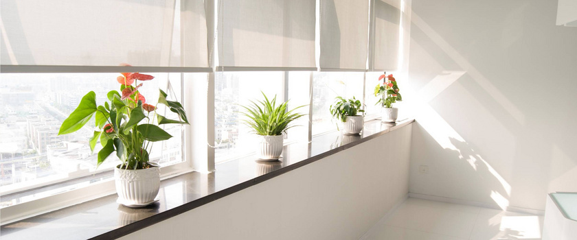 阳台背景图片大全_阳台背景素材下载_熊猫办公