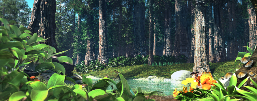 动漫森林背景图片大全_动漫森林背景素材下载_熊猫办公