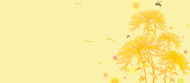 卡通菊花花瓣唯美背景banner