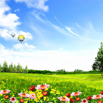 蓝天白云绿草背景