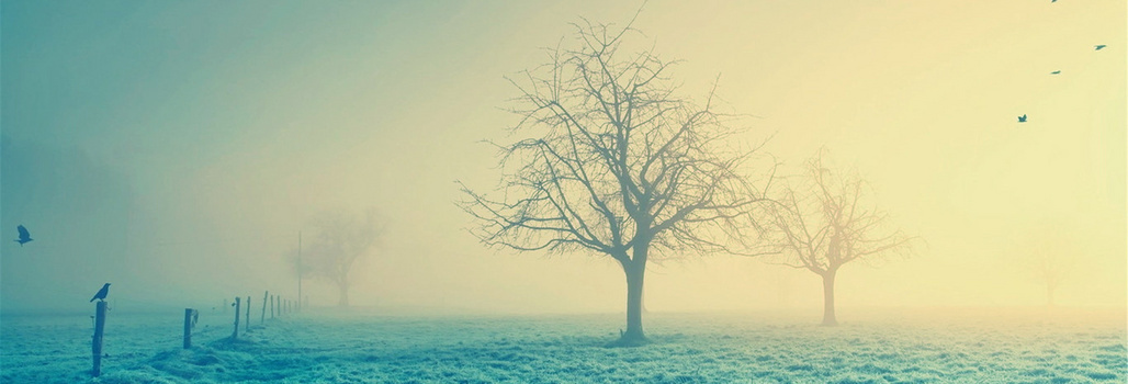 非主流可爱图片