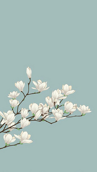 白色花背景图片大全 白色花背景素材下载 熊猫办公 白色花背景图片大全 白色花背景素材下载 熊猫办公