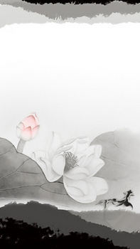 白色花背景图片大全 白色花背景素材下载 熊猫办公 白色花背景图片大全 白色花背景素材下载 熊猫办公