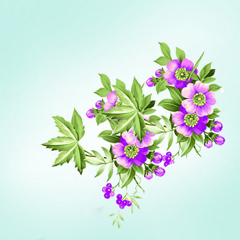 紫花背景图片大全 紫花背景素材下载 熊猫办公 紫花背景图片大全 紫花背景素材下载 熊猫办公