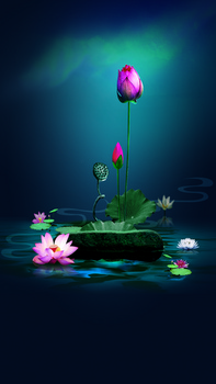 古典风莲花h5背景