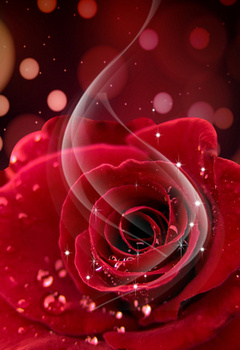 唯美梦幻玫瑰花化妆品海报