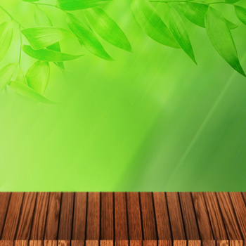 绿底木板背景