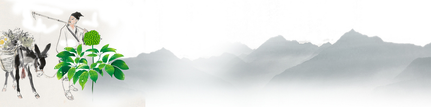 中医药背景图片大全_中医药背景素材下载_熊猫办公