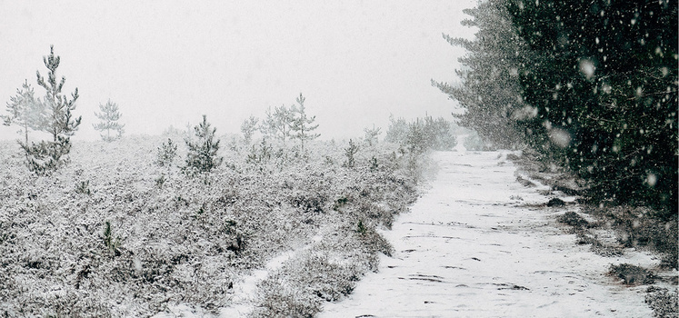 黑白照片背景图片大全_黑白照片背景素材下载_熊猫办公