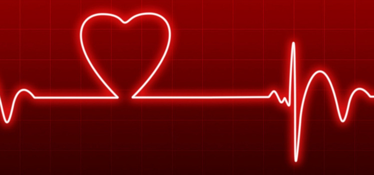 浪漫红心情人爱的心电图图片