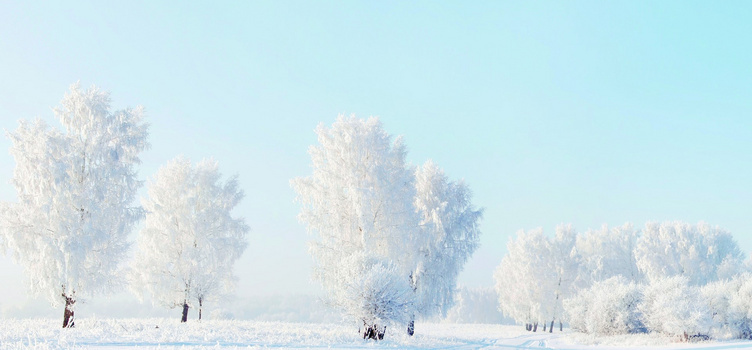 冬季雪景藍天白雲霧凇背景圖