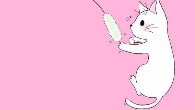 可爱猫背景图片大全 可爱猫背景素材下载 熊猫办公 可爱猫背景图片大全 可爱猫背景素材下载 熊猫办公