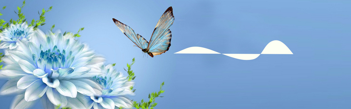 夏花背景图片大全 夏花背景素材下载 熊猫办公