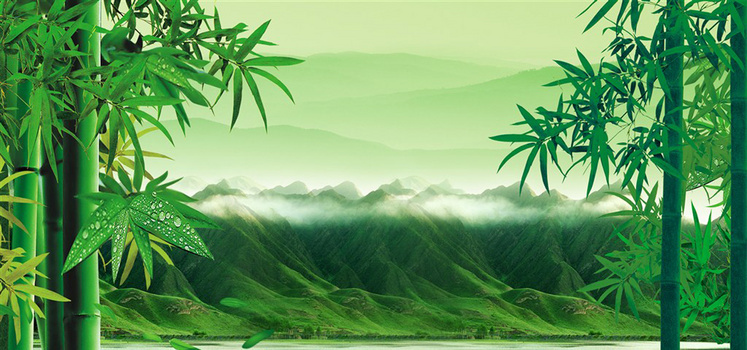 竹子绿色海报背景