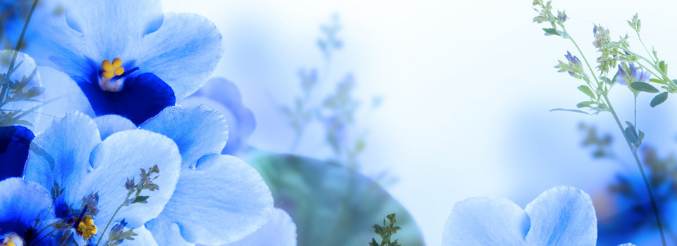 蓝色花背景图片大全 蓝色花背景素材下载 熊猫办公