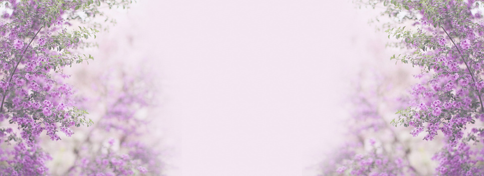 紫色花背景图片大全 紫色花背景素材下载 熊猫办公